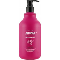 Шампунь для волос АРОНИЯ Institute-beaute Aronia Color Protection Shampoo, 500 мл